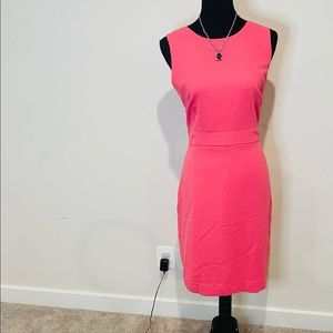 🆕NWT JCrew women’s dress in a size 12